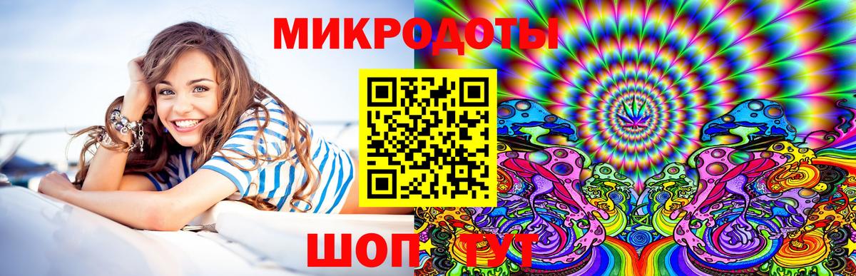 Псилоцибиновые грибы Psilocybine cubensis Сертолово