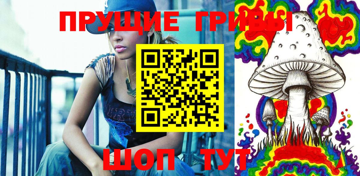 Сертолово  Псилоцибиновые грибы ЛСД  Вход с VPN 