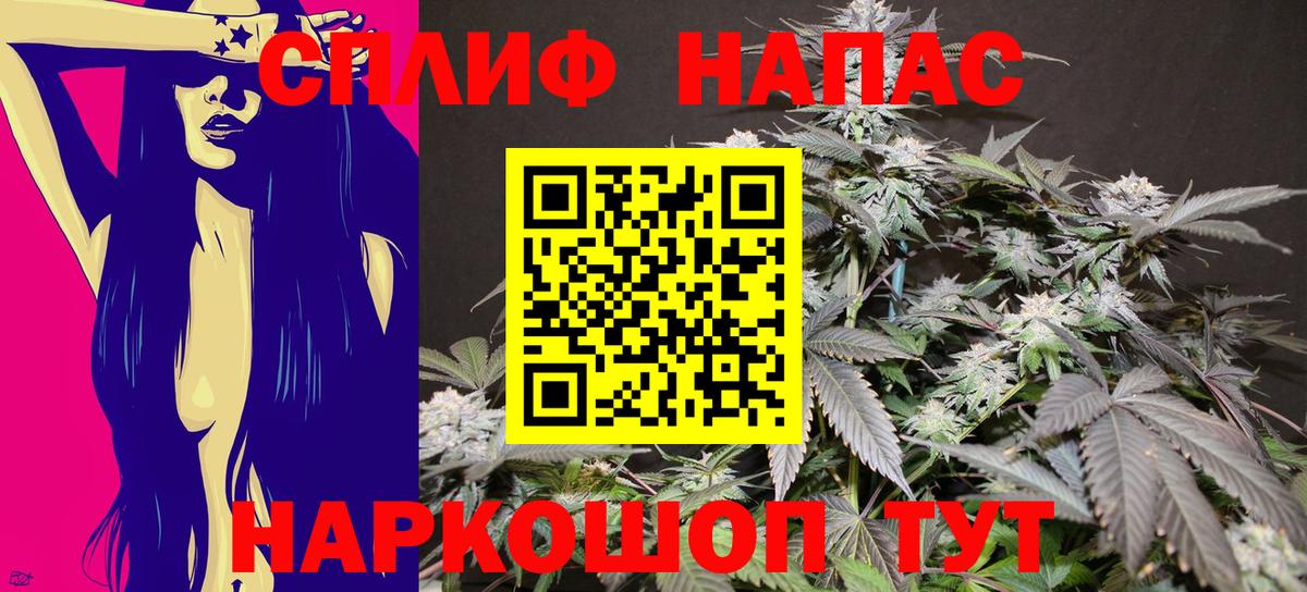 Конопля сатива Сертолово